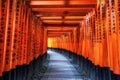 Fushimi inari taisha gates Royalty Free Stock Photo