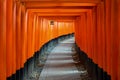 Fushimi Inari-taisha Senbon Torii