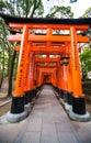 Fushimi Inari-taisha Shrine