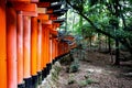 Fushimi Inari Taisha Shrine in Kyoto, Japan with beautiful red gate and japanese garden. Red Torii gates in Fushimi Royalty Free Stock Photo