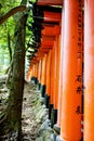 Fushimi Inari Taisha Shrine in Kyoto, Japan with beautiful red gate and japanese garden. Red Torii gates in Fushimi Royalty Free Stock Photo