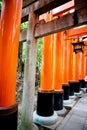 Fushimi Inari Taisha Shrine in Kyoto, Japan with beautiful red gate and japanese garden. Red Torii gates in Fushimi Royalty Free Stock Photo