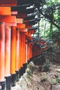 Fushimi Inari Taisha Shrine in Kyoto, Japan with beautiful red gate and japanese garden. Red Torii gates in Fushimi Royalty Free Stock Photo