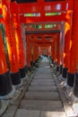 Fushimi Inari-taisha Shrine. Thousands countless vermilion Torii gates on a hill Royalty Free Stock Photo