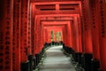 Fushimi Inari Taisha temple, 5000 tori gates, Fushimi-ku, Kyoto, Kansai, Japan Royalty Free Stock Photo