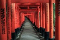 Fushimi Inari Taisha temple, 5000 tori gates, Fushimi-ku, Kyoto, Kansai, Japan Royalty Free Stock Photo