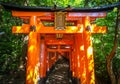 Fushimi Inari Taisha torii, Kyoto, Japan