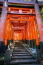 Fushimi Inari Taisha torii, Kyoto, Japan