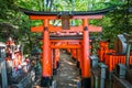 Fushimi Inari Taisha torii, Kyoto, Japan