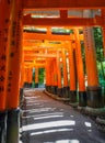 Fushimi Inari Taisha torii, Kyoto, Japan