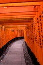 Japanese Temple Lamp and Gates Royalty Free Stock Photo
