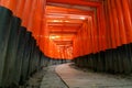 Fushimi Inari Torii Archway