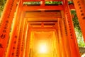 Fushimi Inari Torii gates Royalty Free Stock Photo