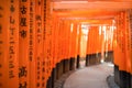 Fushimi inari Trail, Kyoto, Japan