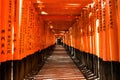 Fushimi inari Trail, Kyoto, Japan