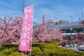 Keihan Railway Yodo Station building in cherry blossoms season. Fushimi-ku, Kyoto, Japan Royalty Free Stock Photo