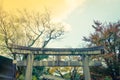 Fushimiinari Taisha ShrineTemple in Kyoto, Japan ( Filtered ima Royalty Free Stock Photo