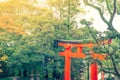 Fushimiinari Taisha ShrineTemple in Kyoto, Japan ( Filtered ima Royalty Free Stock Photo