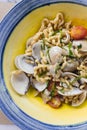 Fusilli Avellinesi pasta with clams and tomato in yellow and blue plate Royalty Free Stock Photo