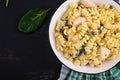 Fusilli pasta with a creamy sauce with chicken meat, parmesan cheese and spinach Royalty Free Stock Photo