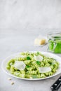 Fusilli pesto pasta with pine nuts, basil leaves and parmesan cheese