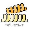 Fusilli spirale pasta icon color outline vector