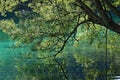 Fusine lakes, a mountain lake in northern Italy Royalty Free Stock Photo