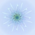 FLOWER MANDALA. PLAIN LIGHT BLUE BACKGROUND. CENTRAL FLOWER IN LIGHT BLUE, BLUE, PURPLE, AQUAMARINE Royalty Free Stock Photo
