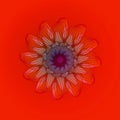 DAISY MANDALA FLOWER. PLAIN ORANGE BACKGROUND. LINEAR DESIGN IN BROWN, ORANGE AND PURPLE