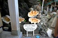 Futamiokitama Shrine near Sacred Meoto Iwa (Wedded Rocks)