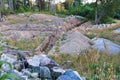 Future construction site of  a home property in the forest left derelict and neglected - zoned for residential use Royalty Free Stock Photo