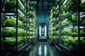 future farming: vertical systems innovative urban agriculture solutions, reshaping city life