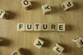Future word from wooden blocks