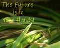 The future is in your hands - Inspirational Quote Royalty Free Stock Photo