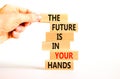 The future is in your hands symbol. Concept words The future is in your hands on wooden blocks on a beautiful white table white Royalty Free Stock Photo