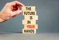 The future is in your hands symbol. Concept words The future is in your hands on wooden blocks on a beautiful grey table grey Royalty Free Stock Photo