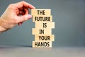 The future is in your hands symbol. Concept words The future is in your hands on wooden blocks on a beautiful grey table grey Royalty Free Stock Photo