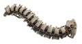 Futuristic biomechanical spinal column mechanism Royalty Free Stock Photo