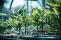 Futuristic biotechnology factory. Photobioreactor made of green plants connected by a hydroponic system