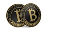 Golden Platinum Bitcoin coin