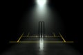 Futuristic Cricket Wickets