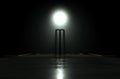 Futuristic Cricket Wickets