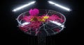 Abstract 3D rendering of spherical network structure with glowing flower center and colorful interconnected lines on black Royalty Free Stock Photo