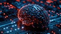 Human Brain Model Connected to a Futuristic Electronic Circuit Board Royalty Free Stock Photo