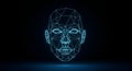 Futuristic Digital Human Face: Abstract Wireframe Design for Technology and Data Projects Royalty Free Stock Photo