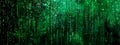 Abstract green matrix background with falling digital code rain Royalty Free Stock Photo