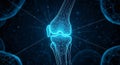 Futuristic Digital Wireframe Human Knee Joint Scan Royalty Free Stock Photo