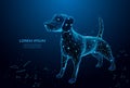 Futuristic dog. Cute funny dog form lines and triangles on blue background. Polygonal wireframe puppy on blue night sky with dots