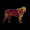 Futuristic dog portrait - irish wilfhound with neon glowing fur