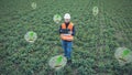 Futuristic farmer engineer inspect the land Crops growing efficiency. Graphics